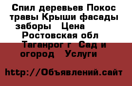 Спил деревьев.Покос травы.Крыши.фасады.заборы › Цена ­ 300 - Ростовская обл., Таганрог г. Сад и огород » Услуги   